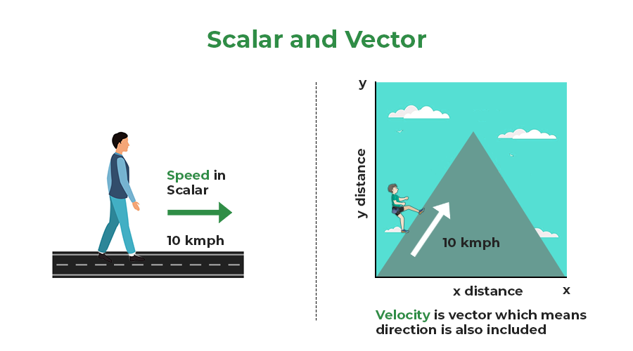 Vectors in Physics