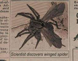 Flying Spiders! (Physics behind it)